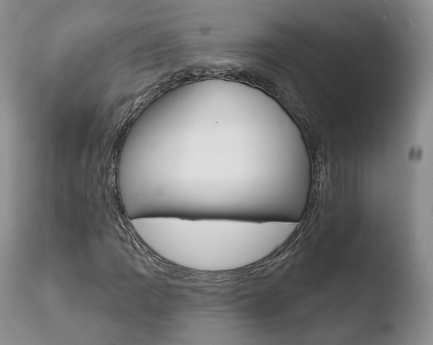 X0000110761109200906150923