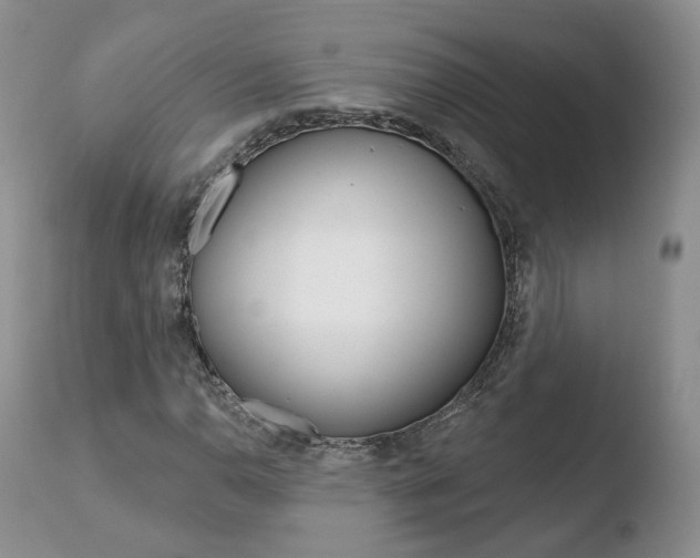 X0000110761110200906150923