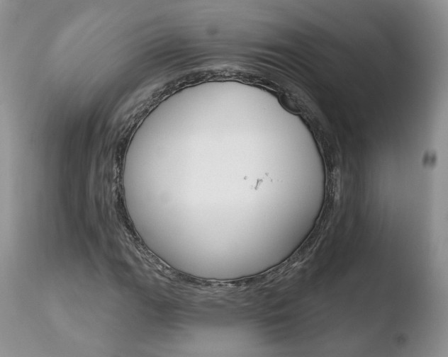 X0000110761111200906150923