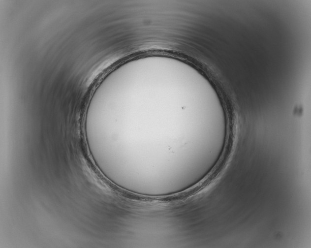 X0000110761113200906150923