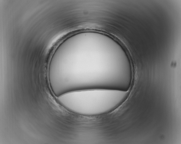 X0000110761115200906150923