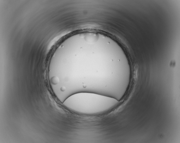 X0000110761117200906150923