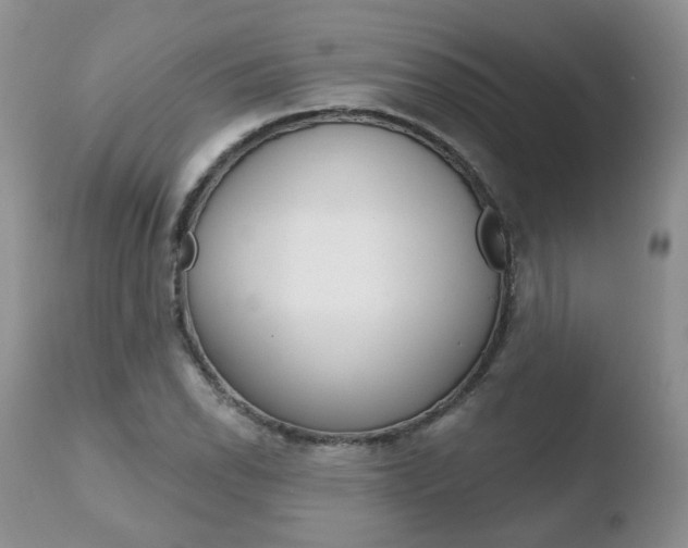 X0000110761118200906150923