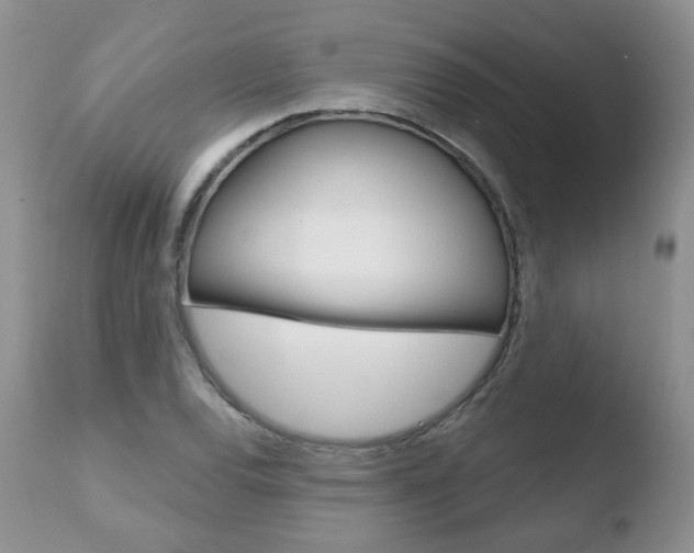 X0000110761120200906150923