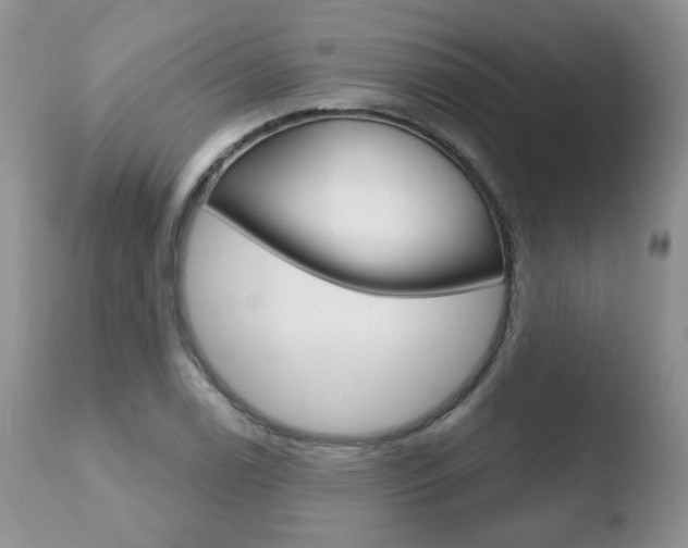 X0000110761122200906150924