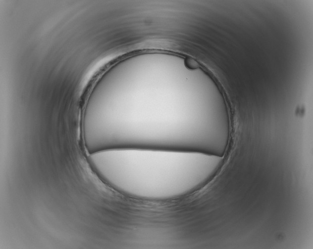 X0000110761123200906150924