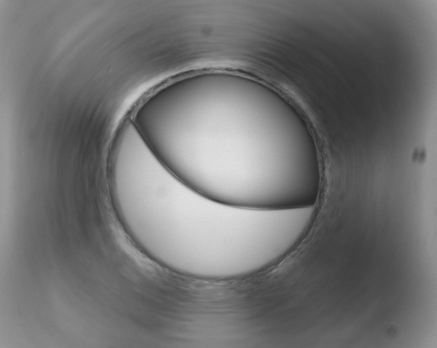 X0000110761124200906150924