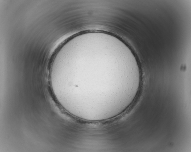 X0000110761125200906150924