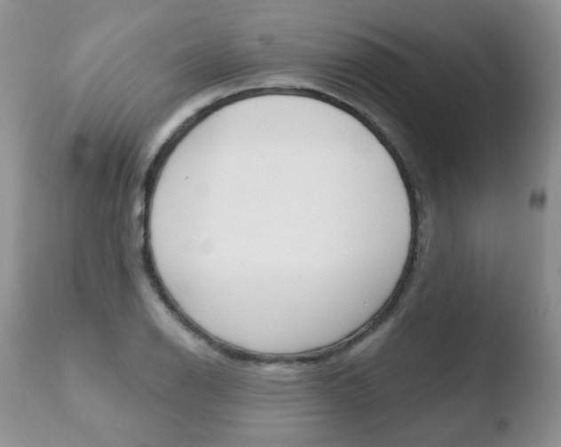 X0000110761126200906150924