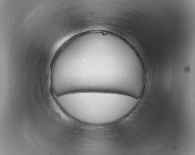 X0000110761127200906150924