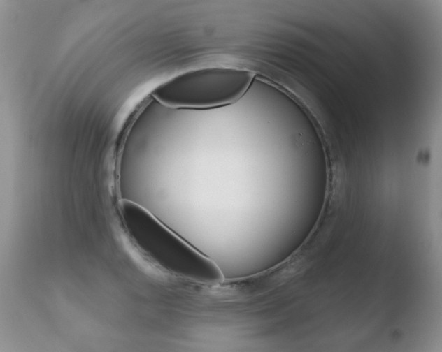 X0000110761128200906150924