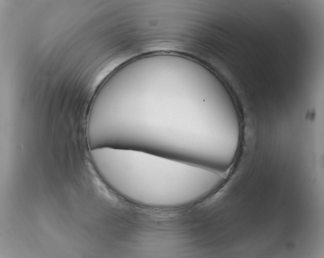 X0000110761129200906150924