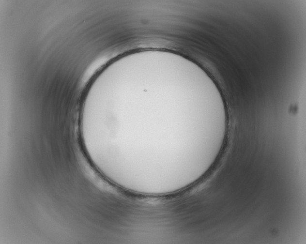 X0000110761130200906150924