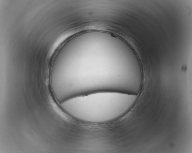 X0000110761131200906150924