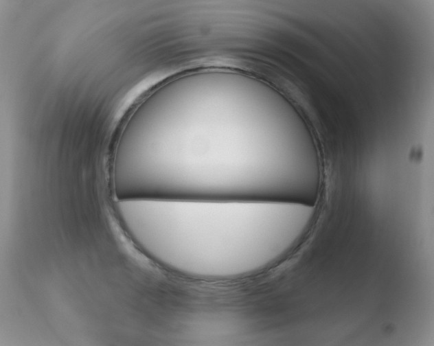 X0000110761133200906150924