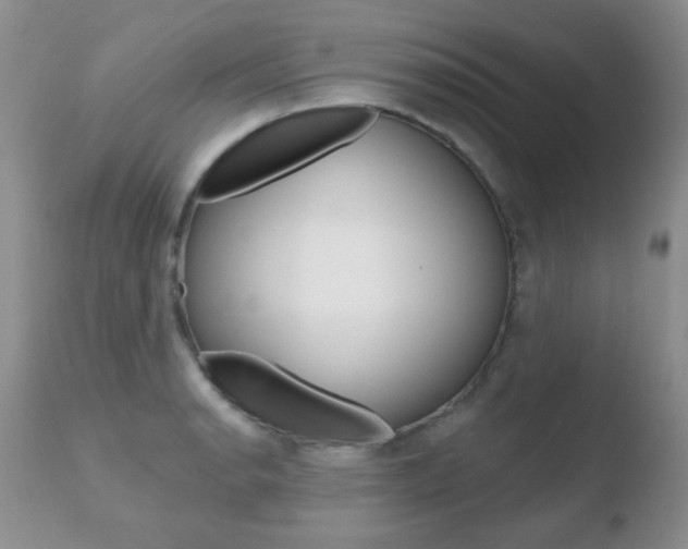 X0000110761134200906150924