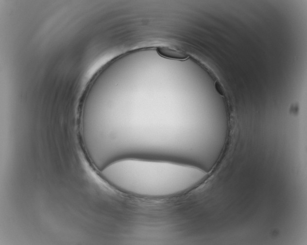 X0000110761135200906150924