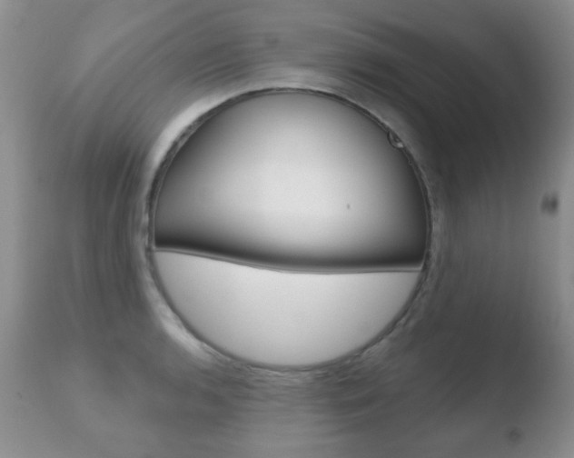 X0000110761136200906150924