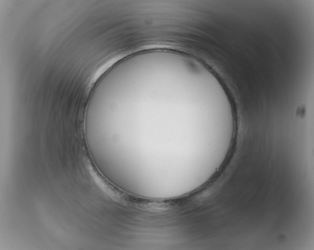 X0000110761137200906150924
