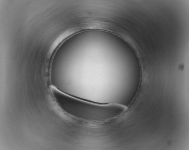 X0000110761138200906150924