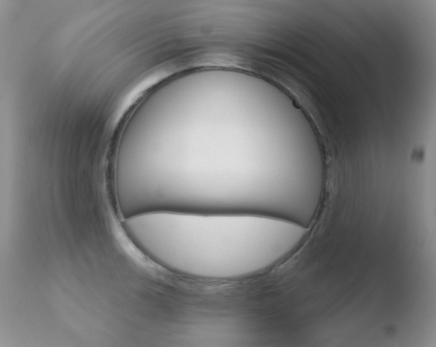 X0000110761139200906150924
