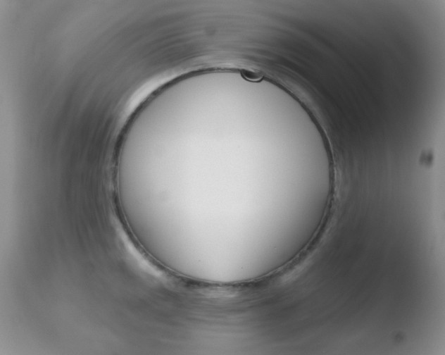 X0000110761141200906150924