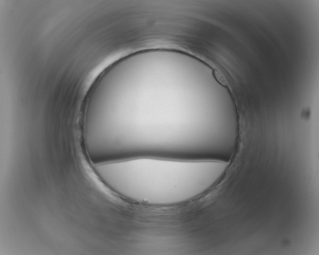 X0000110761142200906150924