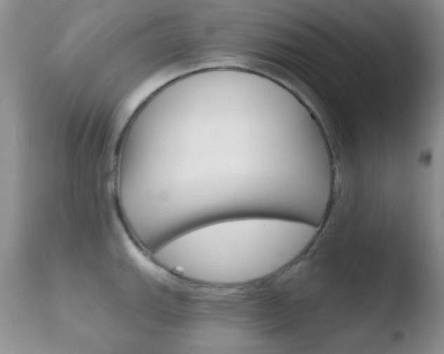 X0000110761143200906150924
