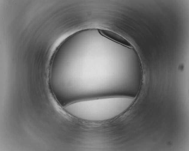 X0000110761144200906150924