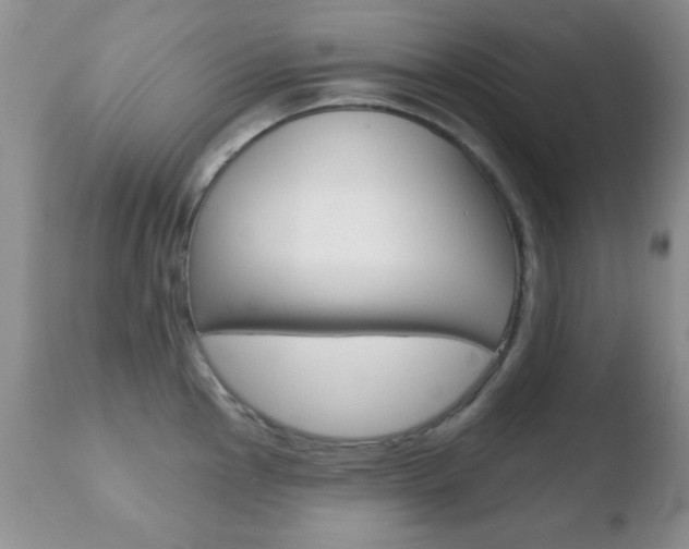 X0000110761145200906150924