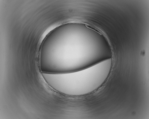 X0000110761146200906150924