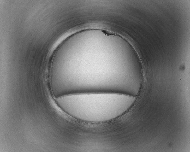 X0000110761147200906150924