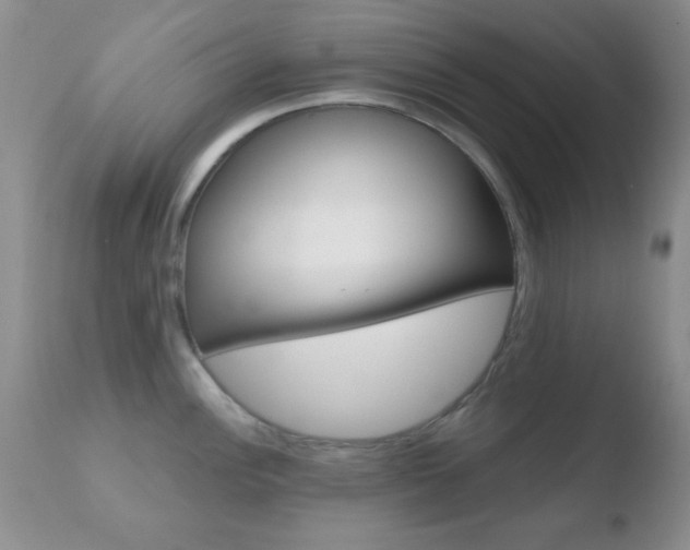 X0000110761148200906150924