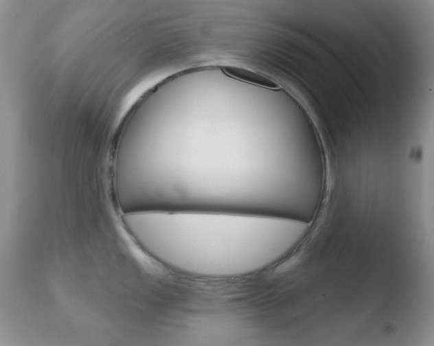 X0000110761149200906150924