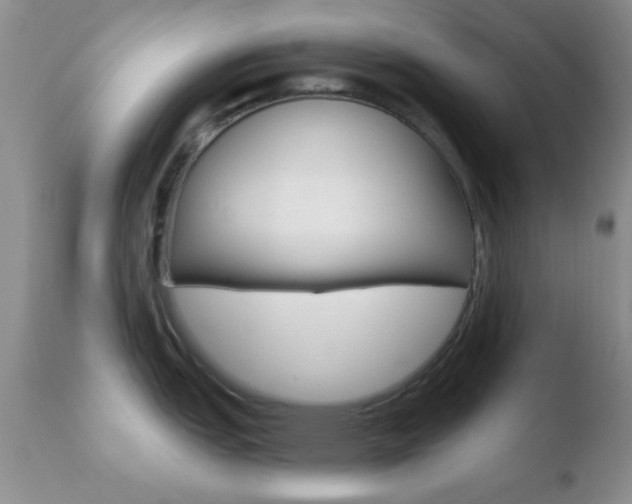 X0000110761151200906150924