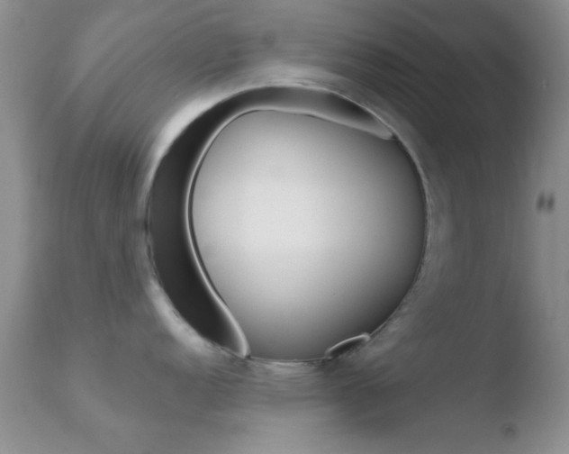 X0000110761152200906150924