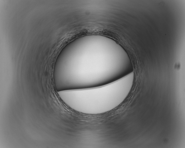 X0000110761153200906150923