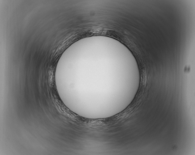 X0000110761154200906150923