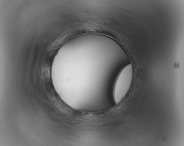 X0000110761155200906150923