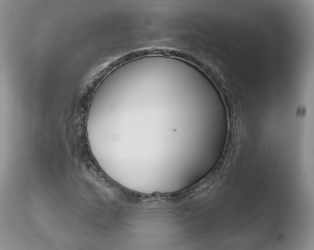 X0000110761159200906150923