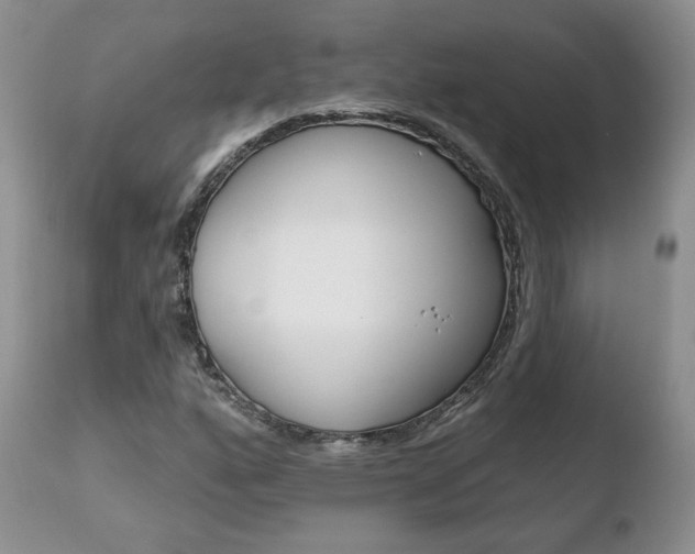 X0000110761160200906150923