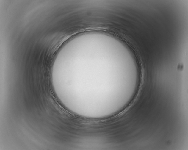 X0000110761161200906150923
