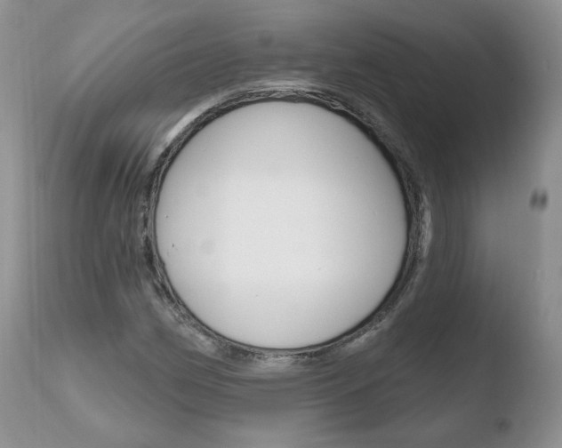 X0000110761162200906150923