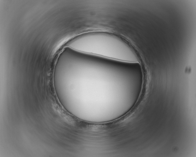 X0000110761163200906150923