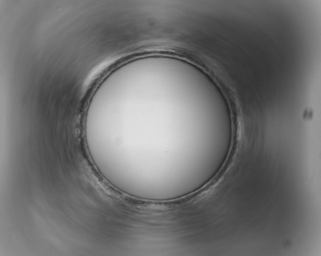 X0000110761164200906150923