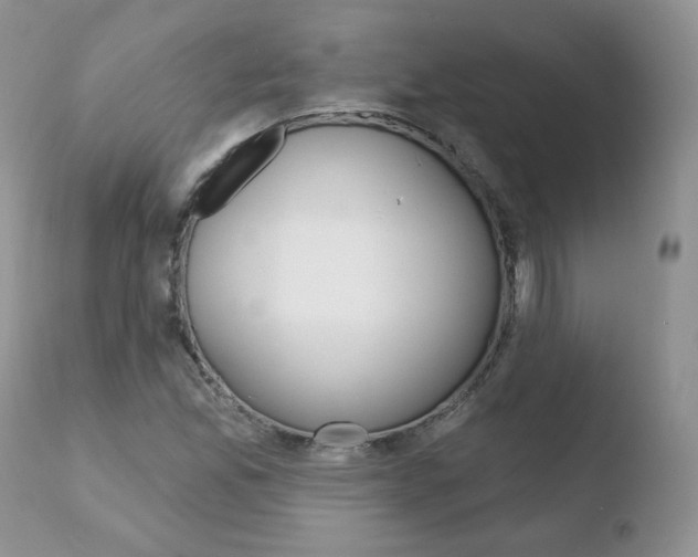 X0000110761165200906150923