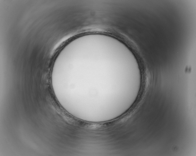 X0000110761166200906150923