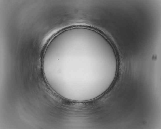 X0000110761167200906150923