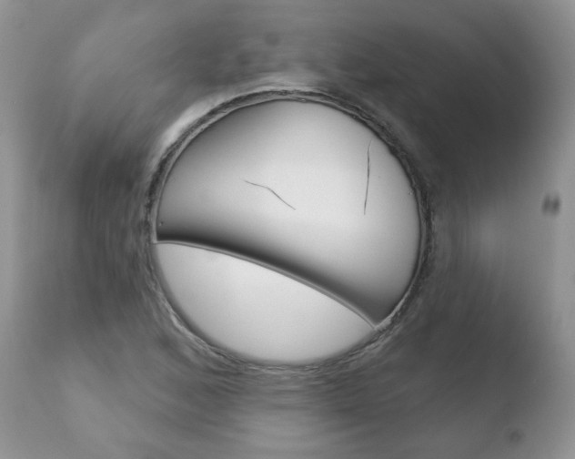 X0000110761168200906150923