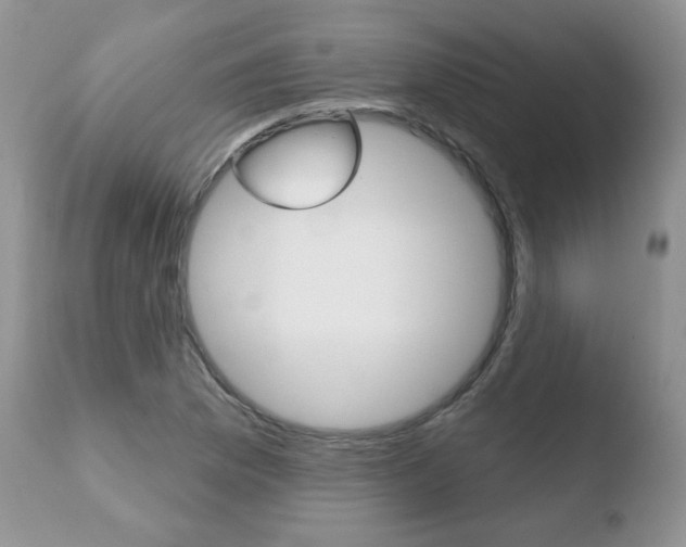 X0000110761169200906150923